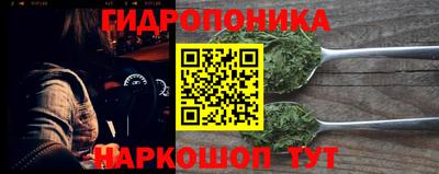 спайс Гагарин