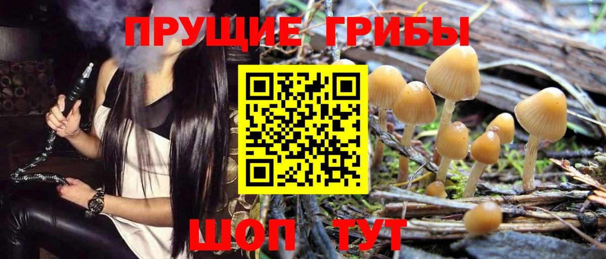 Галлюциногенные грибы мицелий  Псилоцибиновые грибы Cubensis  Нарткала  Вход с VPN 