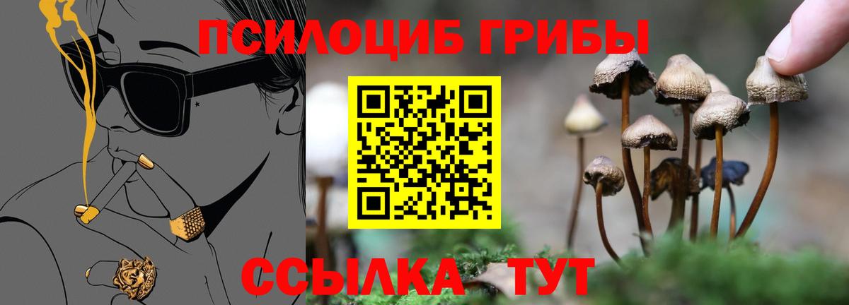 Псилоцибиновые грибы Psilocybe  Псилоцибиновые грибы Cubensis  Нарткала 